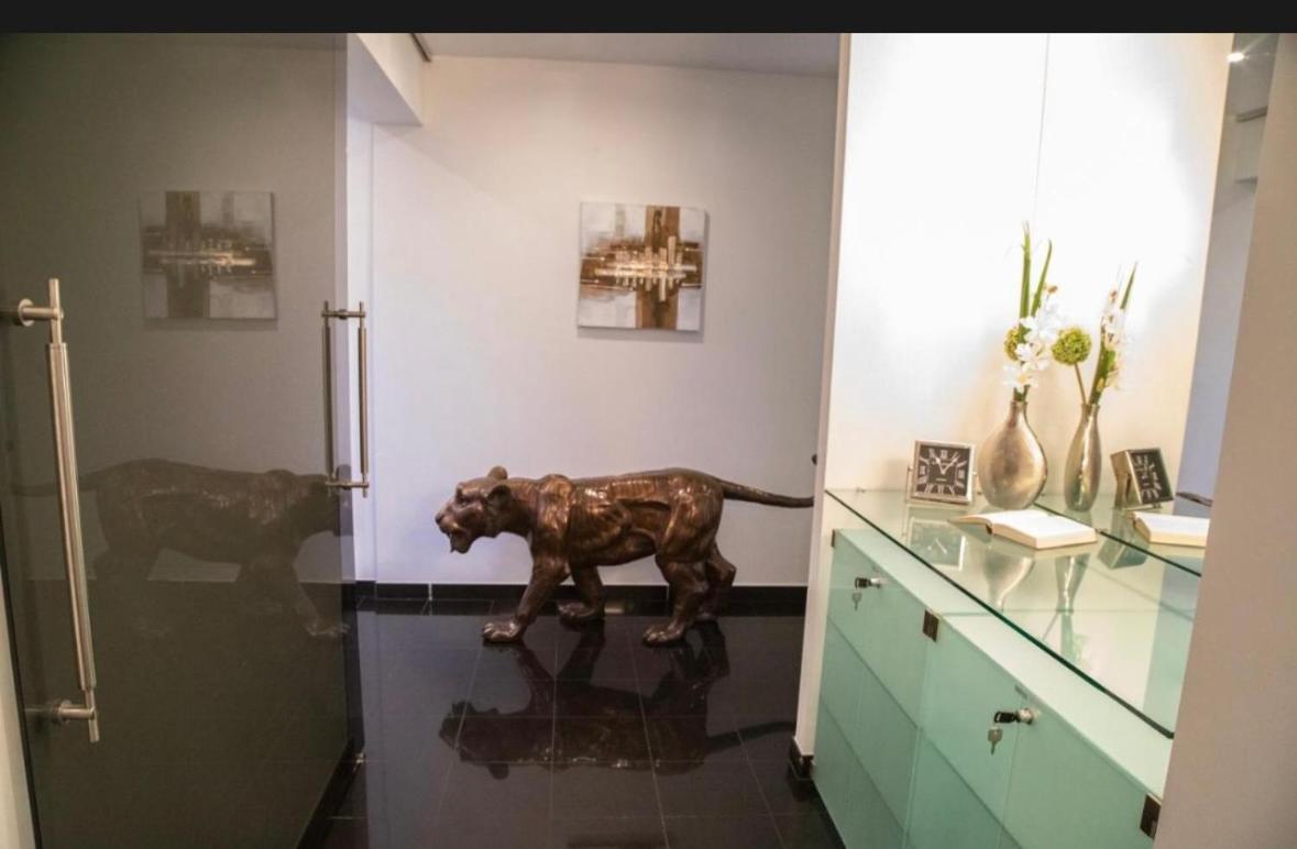 Penthouse Apartamento Viena